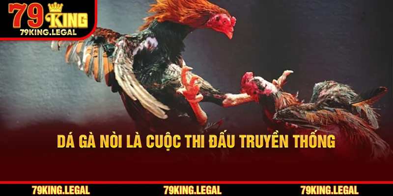 Đá gà nòi là cuộc thi đấu truyền thống