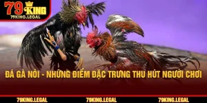 Đá Gà Nòi - Những Điểm Đặc Trưng Thu Hút Người Chơi
