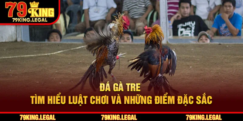 Đá Gà Tre – Tìm Hiểu Luật Chơi Và Những Điểm Đặc Sắc
