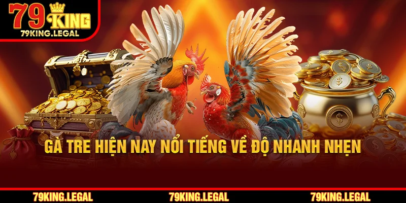 Gà tre hiện nay nổi tiếng về độ nhanh nhẹn