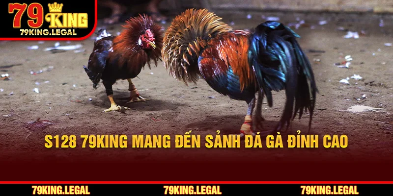 S128 79King mang đến sảnh đá gà đỉnh cao