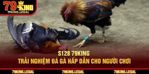 S128 79King – Trải Nghiệm Đá Gà Hấp Dẫn Cho Người Chơi