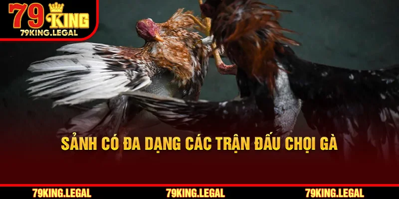 Sảnh có đa dạng các trận đấu chọi gà