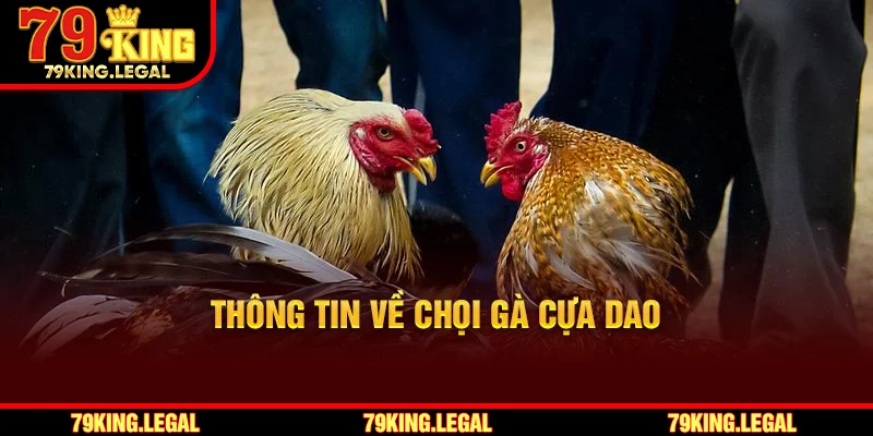 Thông tin về chọi gà cựa dao